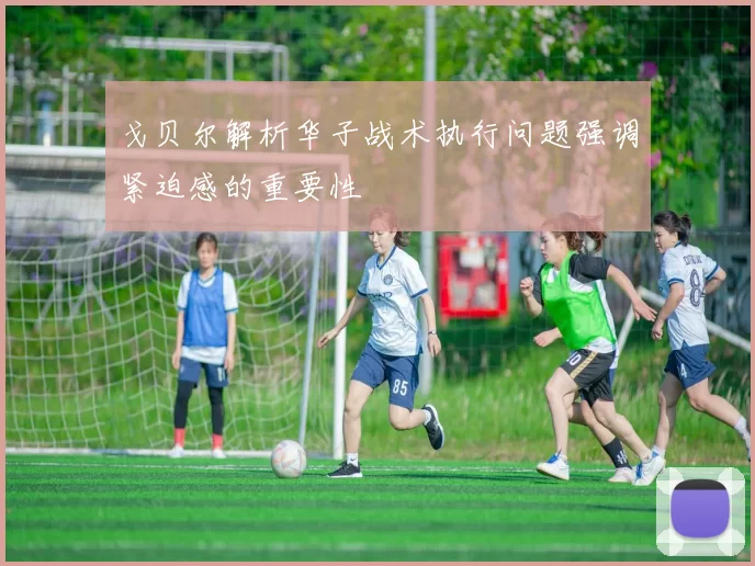 戈贝尔解析华子战术执行问题强调紧迫感的重要性